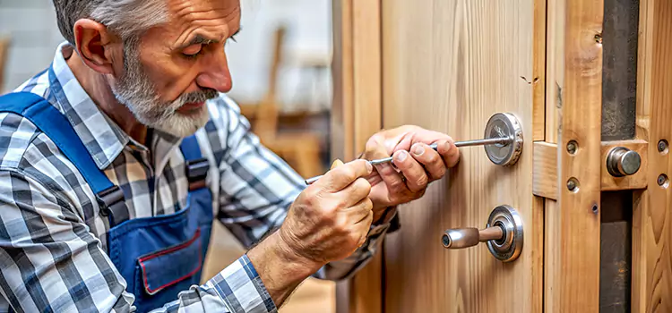 Mortise Replacement Lock Poinciana